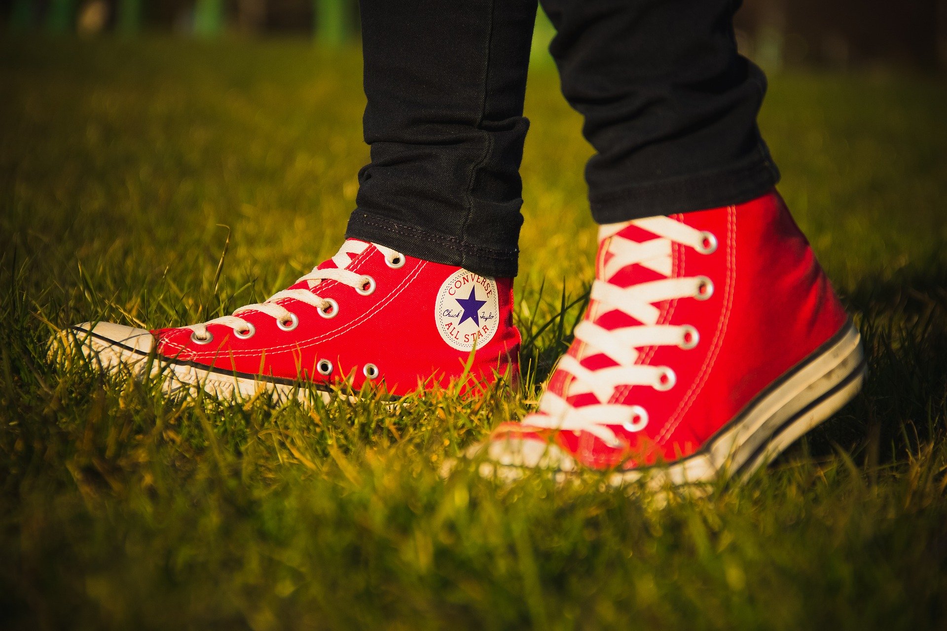 vans and timberland