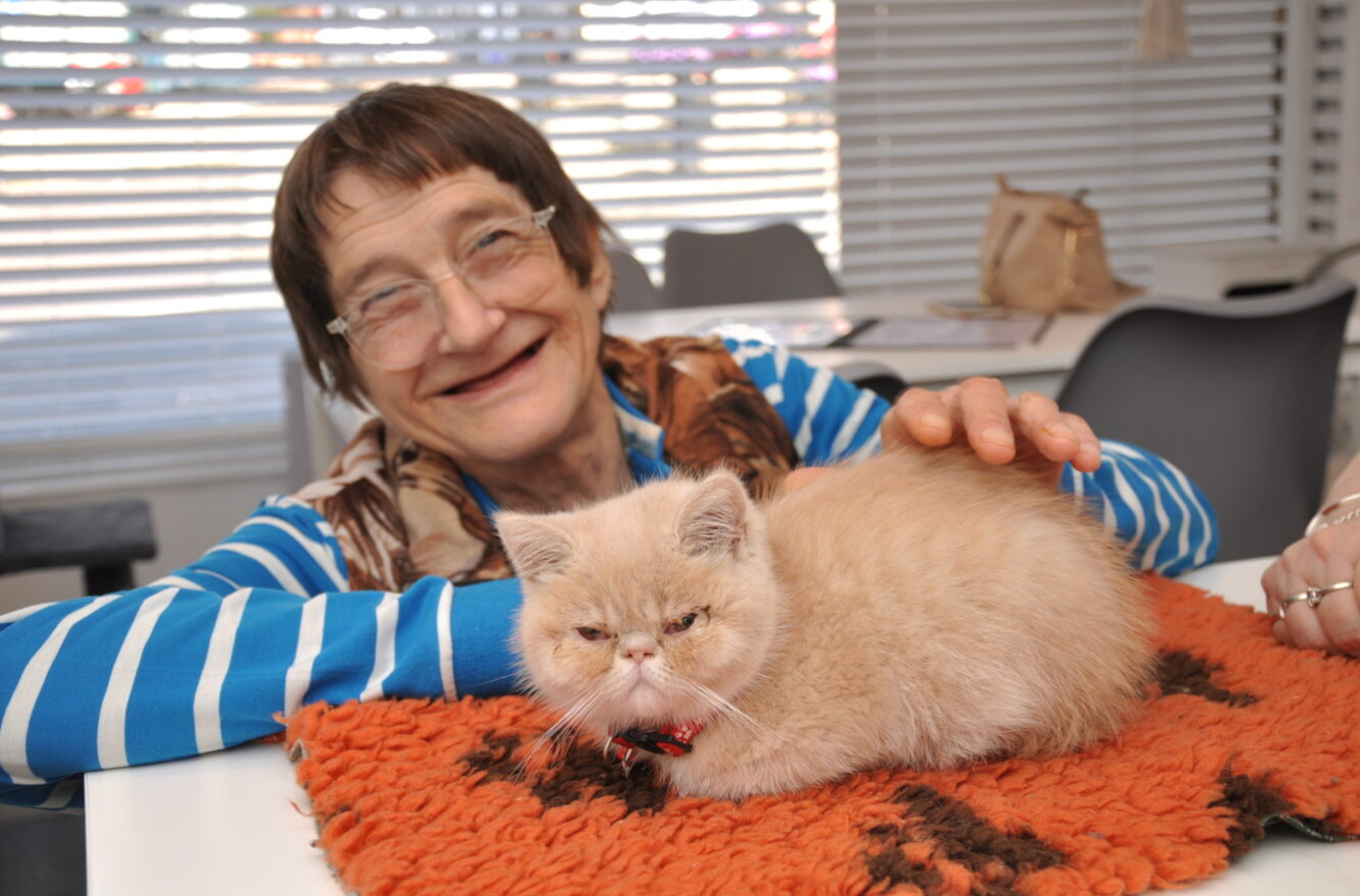 Moggie-mad pensioner has purr-fect day out with pussycat pals at cat cafe